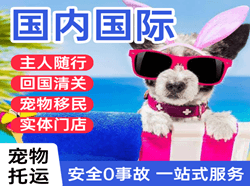 常德桃花源空运代理国际宠物托运 【国